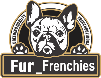 Fur Frenchies 4Homes